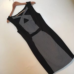 Connected Apparel Career Dress (Like New!)